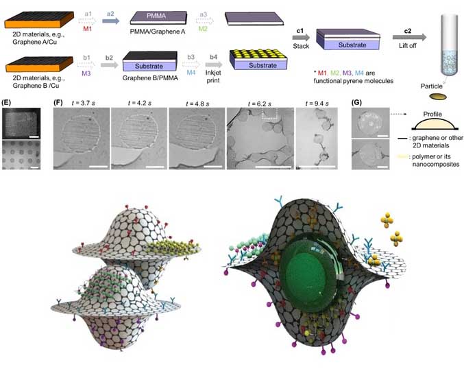 ����ѧ�߹�ģ������ϸ����С�Ľ��������