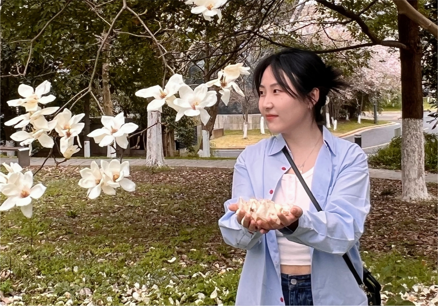 ������ 22˶