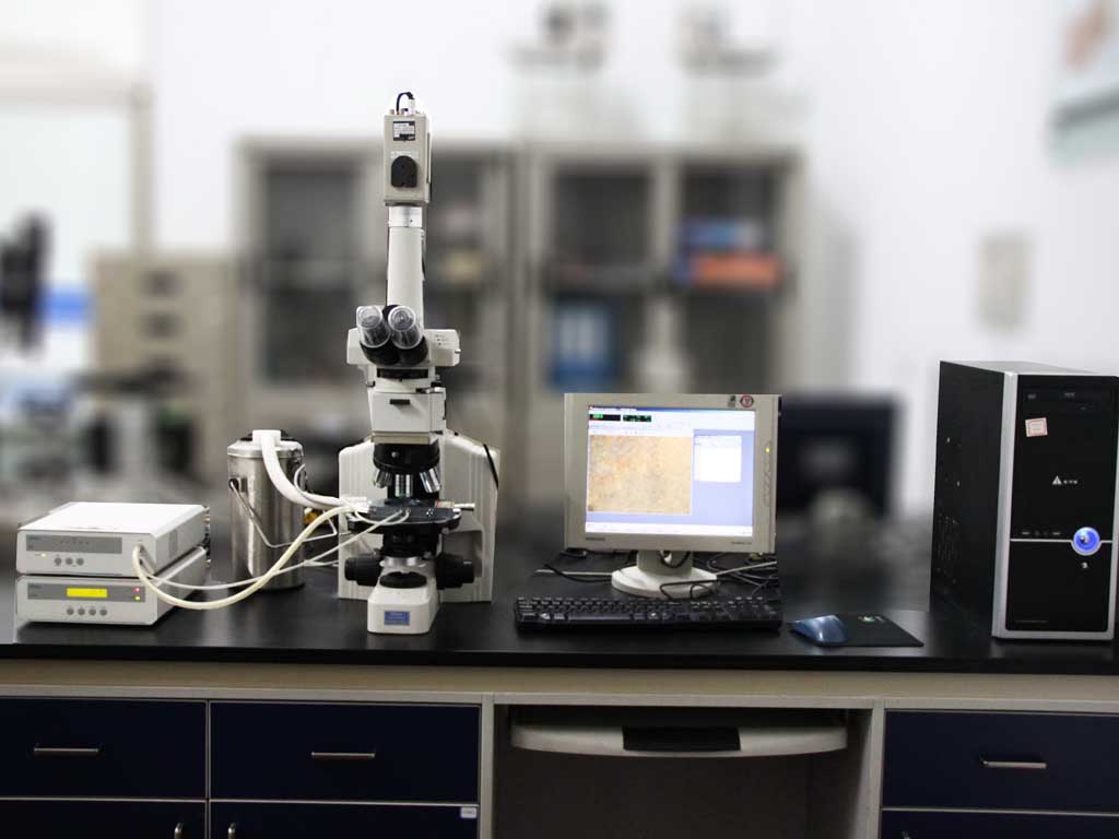 ƫ����΢��������̨����NIKON ECLAIPSE E600POL��