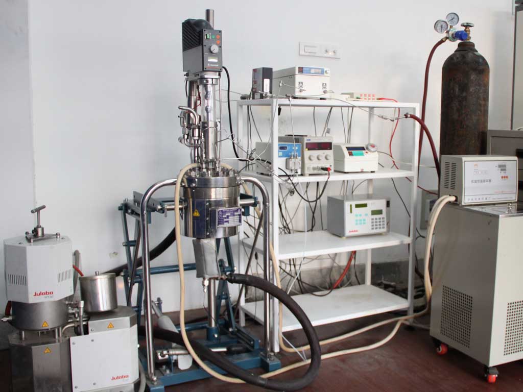 High pressure reactor system with Torque transducer